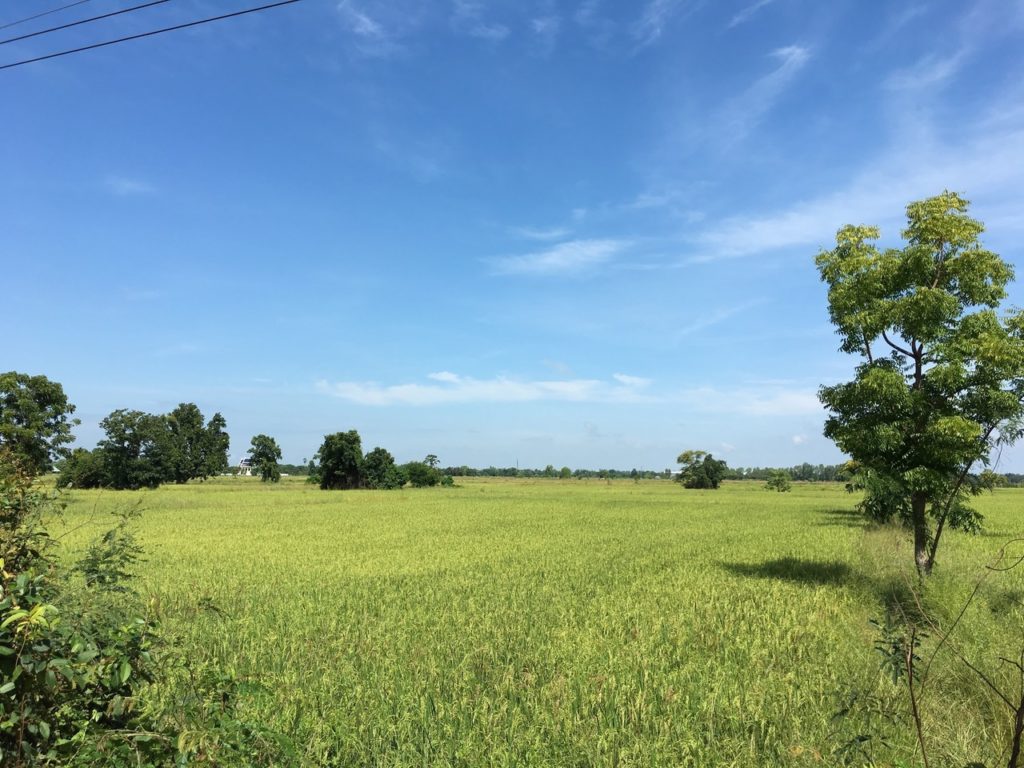 タイコールタクシー