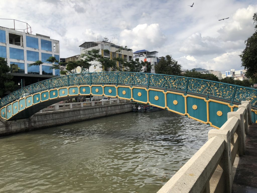 ミズオオトカゲ タイ名物 国鉄ファランポーン駅裏の運河で遭遇 アジアの歩き方